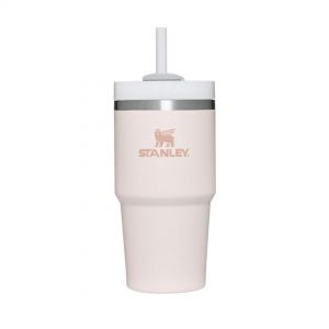 Stanley adventure vacuum insulated travel shop mug 20oz