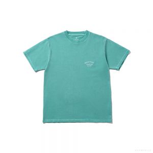 Snow Peak RECYCLED COTTON DYED T-SHIRT SPC (GREEN)