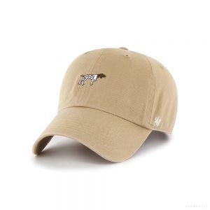 47 Brand GERMAN SHORTHAIRED POINTER '47 CLEAN UP KHAKI