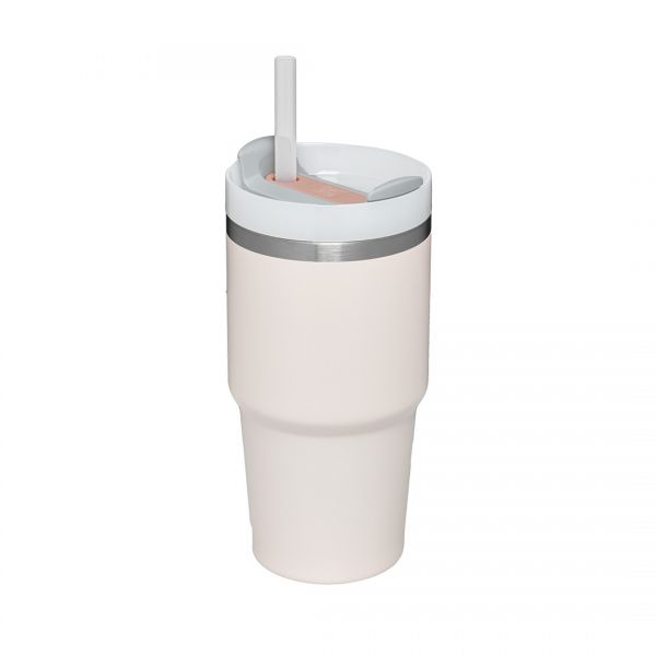 Stanley adventure vacuum insulated travel mug 20oz online