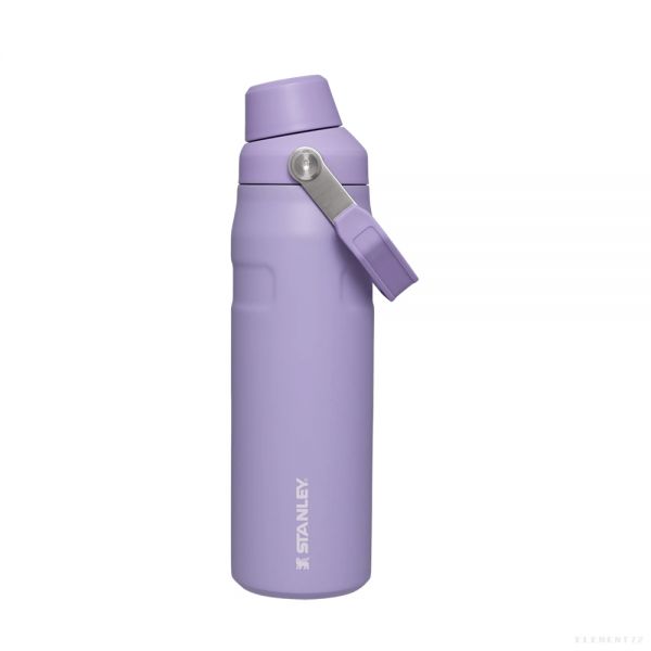 24 oz hot sale stanley thermos