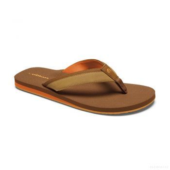 Cobian Men's FOAMIE (BROWN)